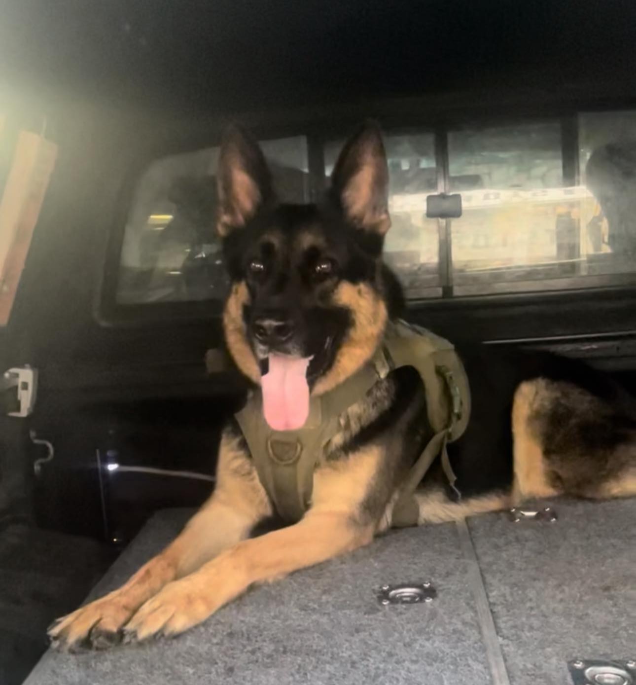 Викрадений автомобіль із собакою всередині: улюбленця знайшли мертвим