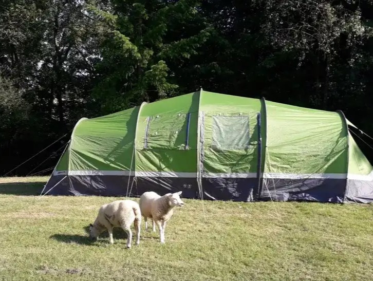 Лучший бюджетный кемпинг Британии: где он находится и сколько стоит проживание