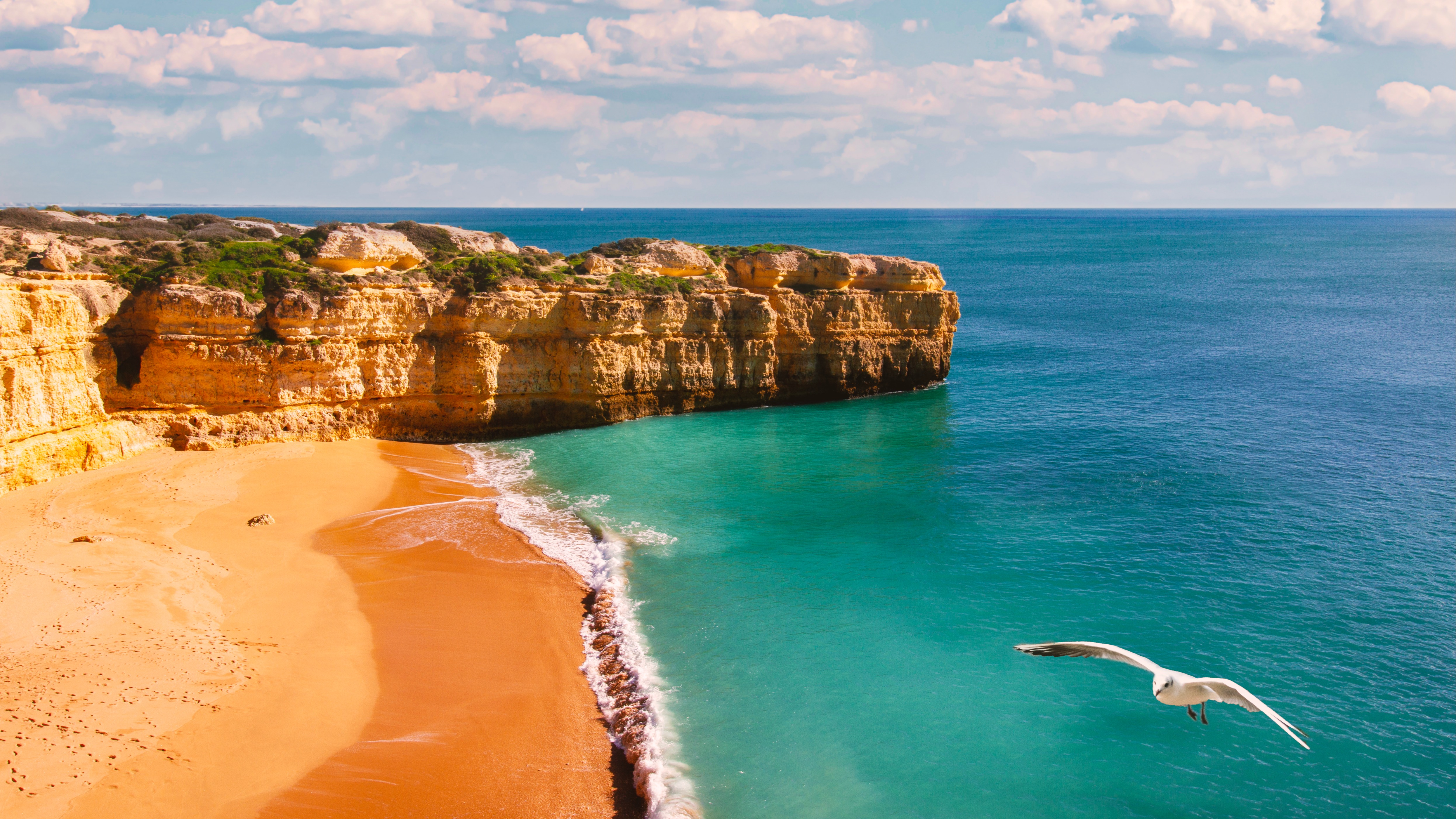 Сова на балконе: что делают птицы в городах и опасно ли это