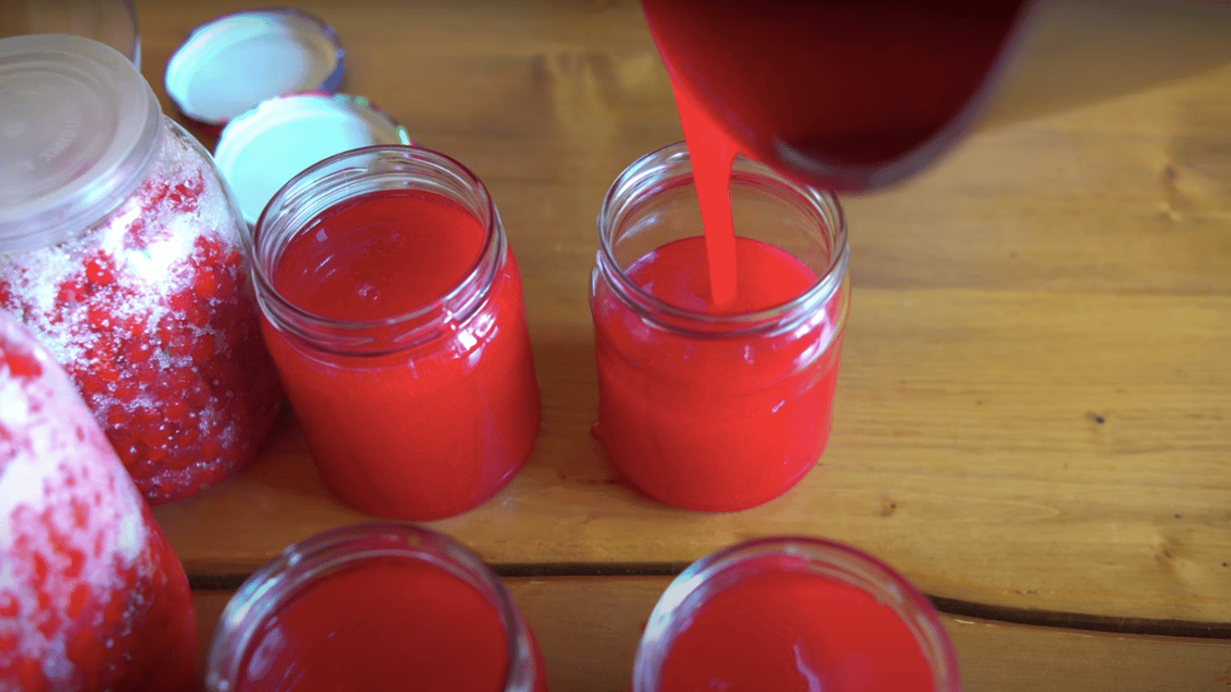 Калина на зиму: 2 простых способа заготовки, которые сохранят витамины