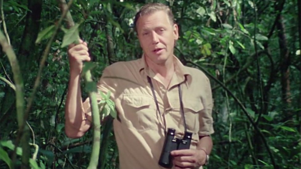 The Best BBC Documentaries Life on Earth (Life on Earth, 1979)