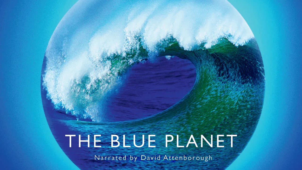 The Best BBC Documentaries The Blue Planet (The Blue Planet, 2001)