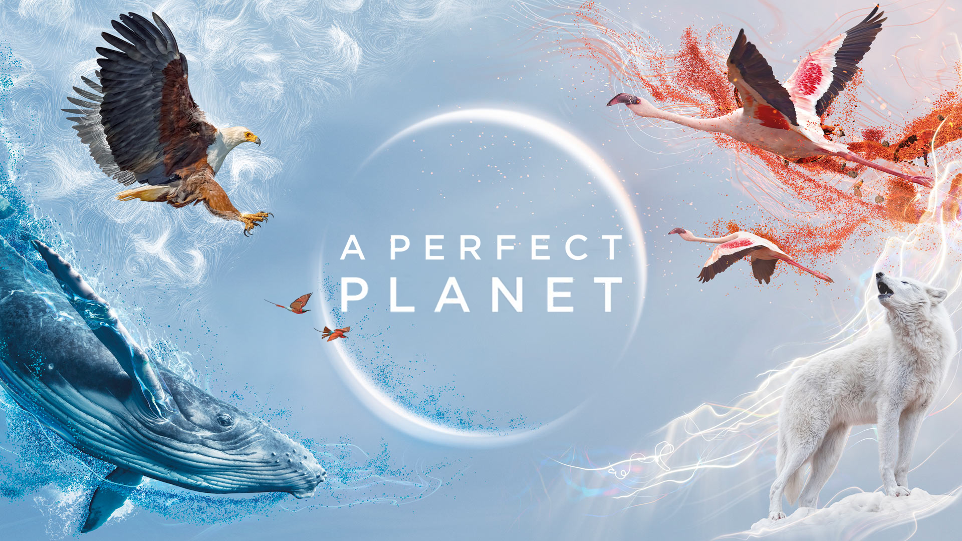 The Best BBC Documentaries A Perfect Planet (A Perfect Planet, 2021)
