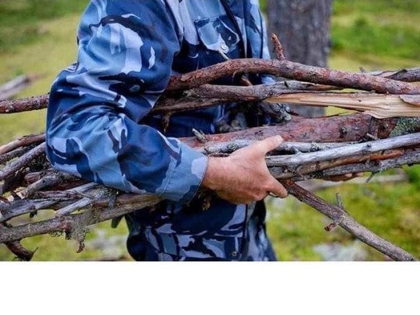 Заготівля дров у 2026 році: що можна брати в лісі безкоштовно
