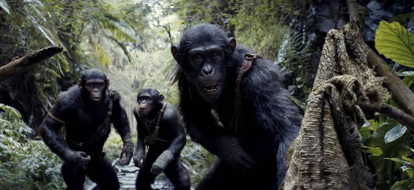 кіно постапокалипсис Планета мавп: Нове царство (Planet of the Apes: Kingdom, 2024)
