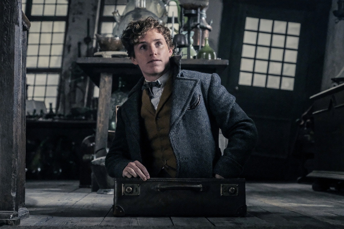Eddie Redmayne – Newt Scamander