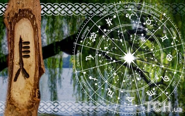 Horoskop na 2 stycznia: celtyckie drzewa radzą każdemu znakowi skupić się na najważniejszym