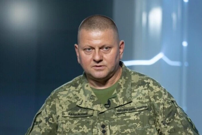 Zaluzhny nazwał najbardziej efektywną broń na froncie