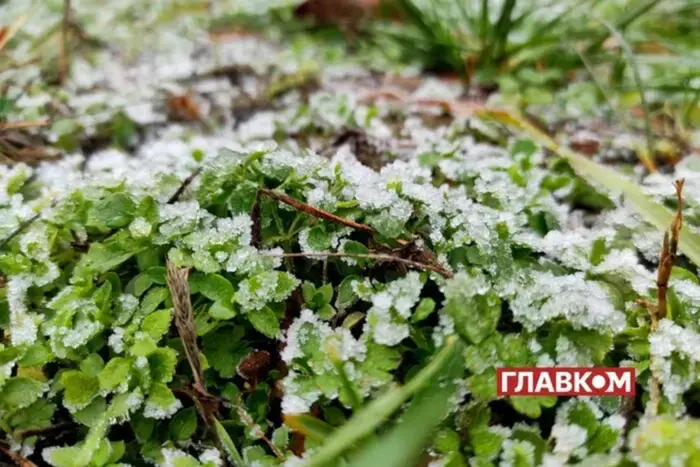 В Україні очікуються перші заморозки: де та коли похолодає