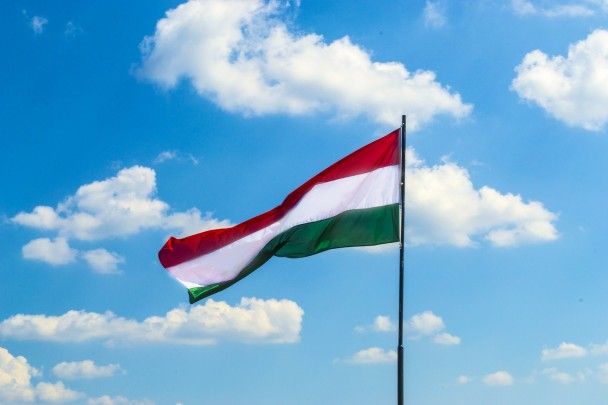 Затримані гроші, золото та валюта