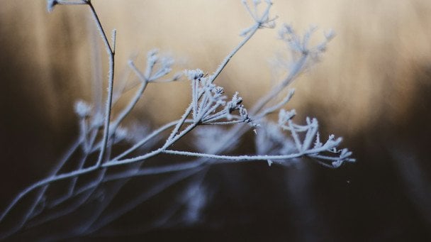 Dzień anioła 14 grudnia: kogo pozdrowić z imieninami i jakie są znaki związane z imionami