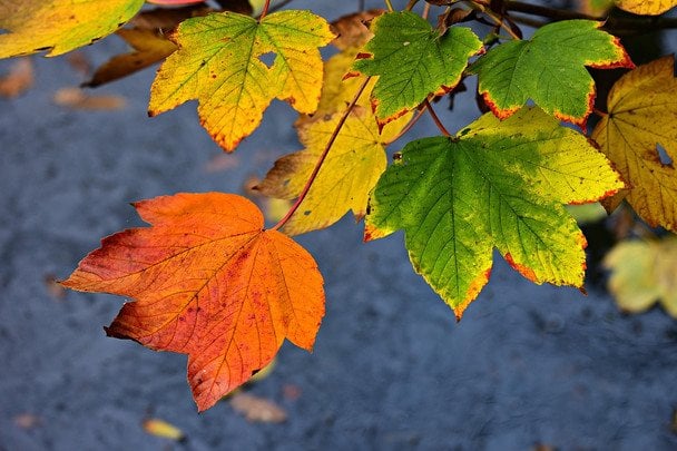 Anomalne ciepło na Ukraine: gdzie ustanowiono nowe rekordy temperatury