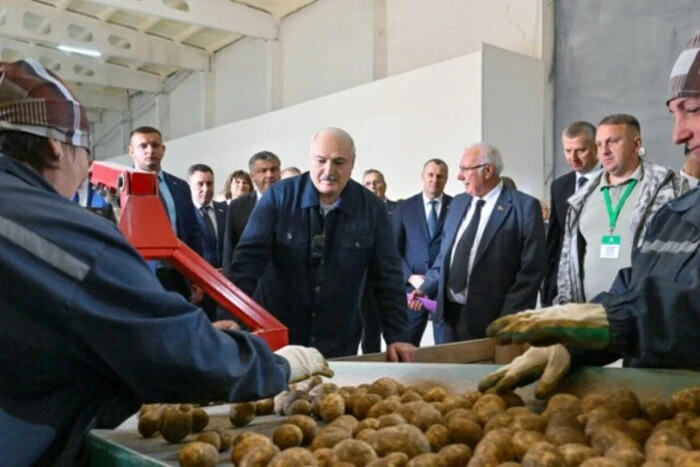 Łukaszenka przynosi Putinowi i Xi Jinpingowi białoruski ziemniak: szczegóły niezwykłego prezentu