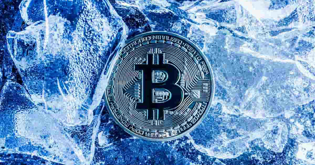 what is crypto winter in simple terms