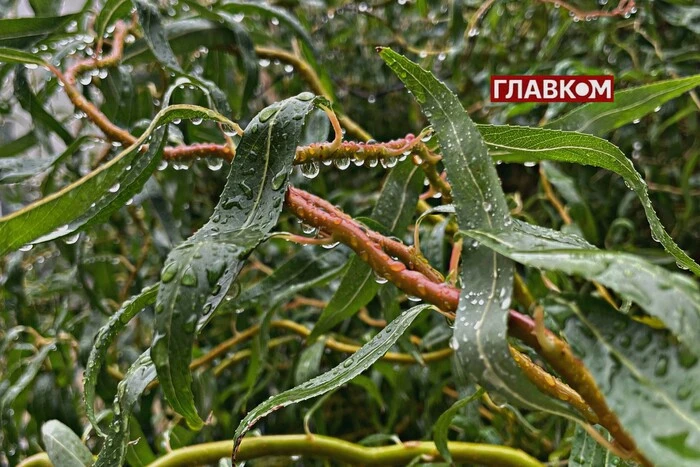 Am 1. Oktober wird in der Ukraine ein starker Temperaturabfall erwartet: Meteorologen geben Prognosen ab