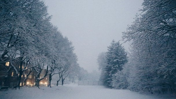 26 grudnia do Ukrainy dotrze cyklon: silny wiatr, gołoledź i śnieżyca