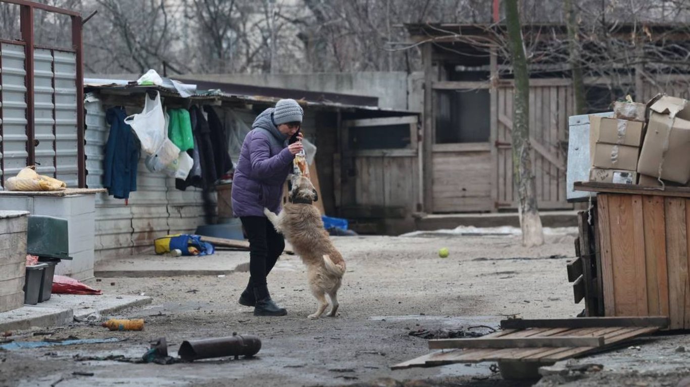 Атака на притулок для тварин