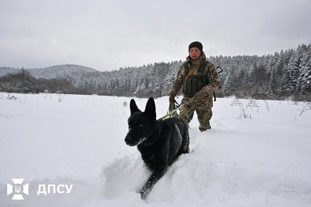Przygraniczna statystyka: mniej prób nielegalnego przekraczania granicy