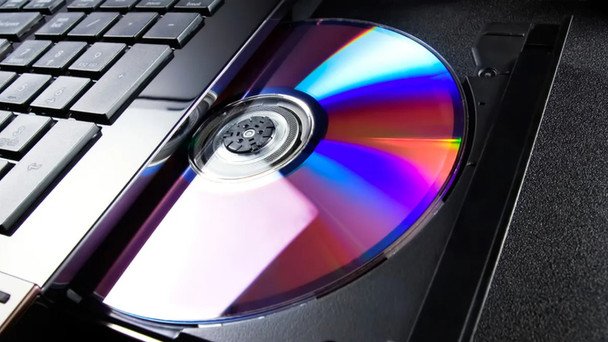 Stare płyty CD sposobem na ptaki w ogrodzie – porada ekspertów