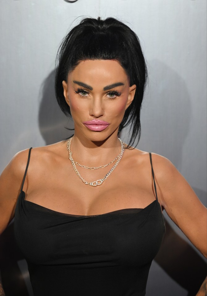 Katie Price criticized Peter Andre after the unexpected success of her hit