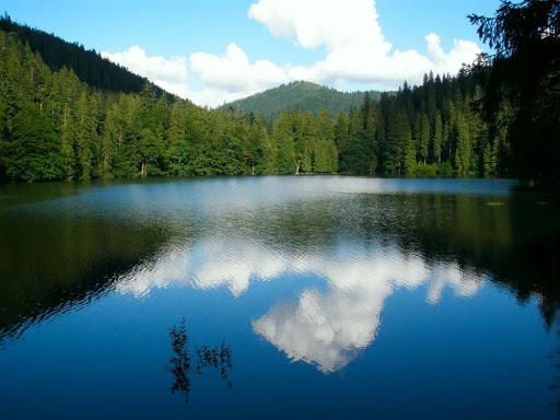 Lake Kagul: a unique location for fishing and relaxation in Ukraine