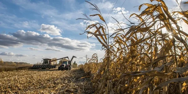 Зарплати агрономів зросли на 25%: хто ще отримав підвищення в 2025 році