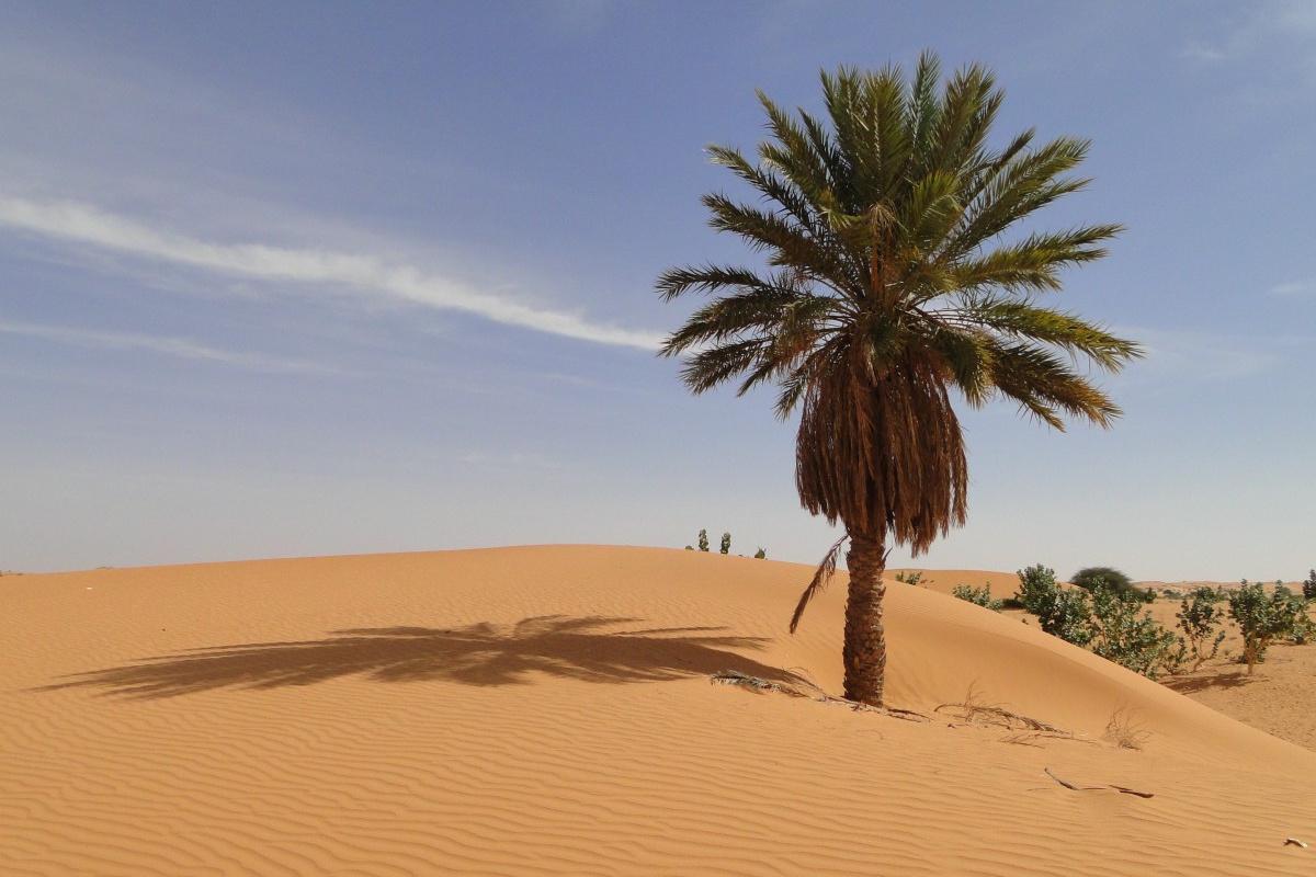 Fewer Than 10,000 Tourists a Year Visit Mauritania: A Desert Nation’s Hidden Wonders
