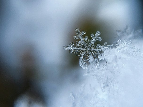 15 grudnia: kto obchodzi dzień anioła i co oznaczają imiona Wasil, Aleksander, Paweł