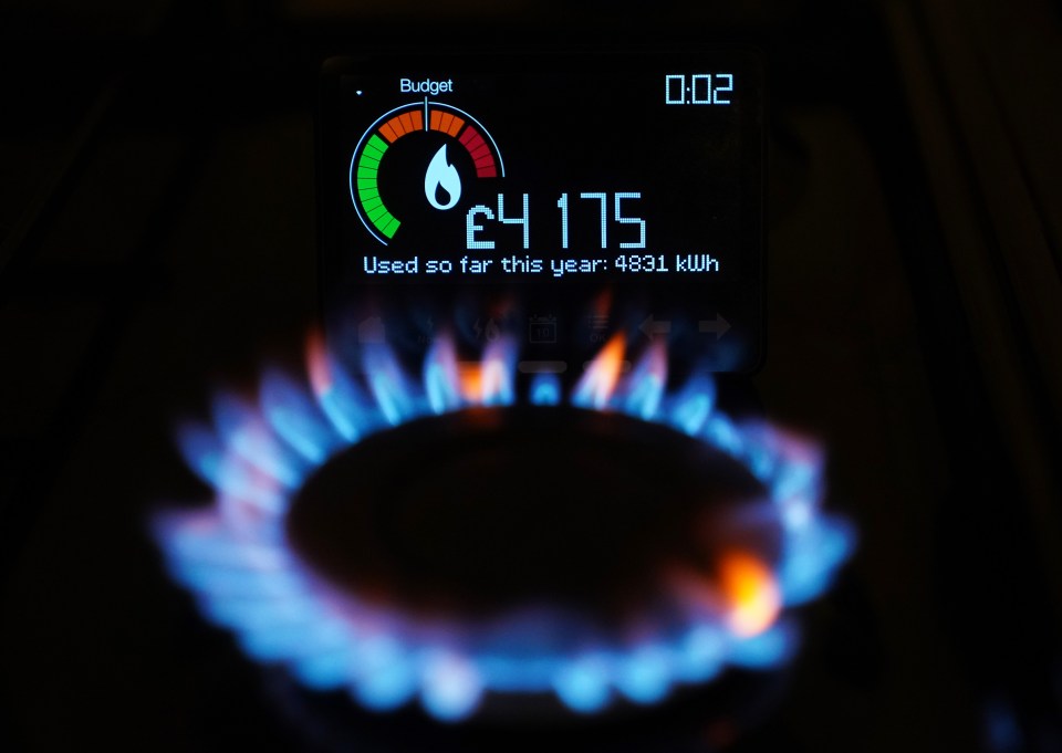 EDF дарує клієнтам до 16 годин безкоштовної енергії: як отримати
