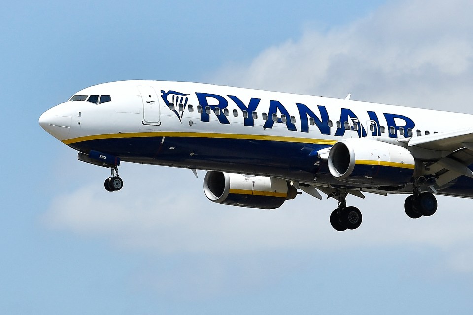 Turbulence on Ryanair flight: two flight attendants injured during landing