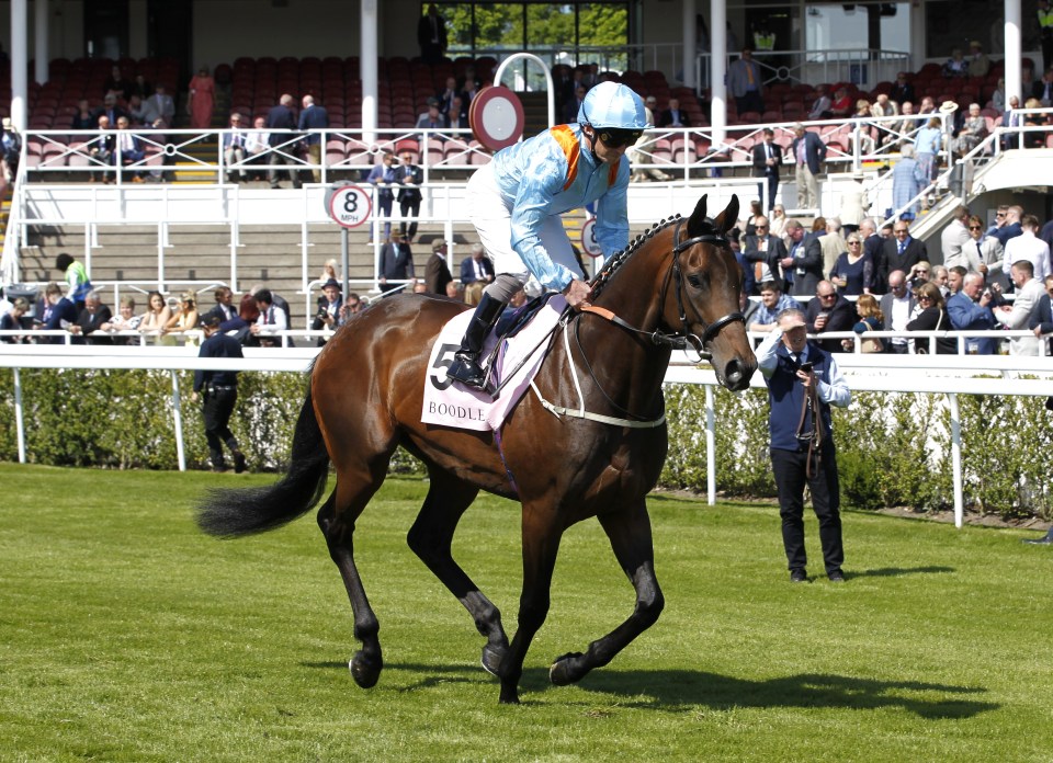 Жокей Сумійлон веде Lazy Griff у St Leger: чи зможуть вони обігнати Lambourn