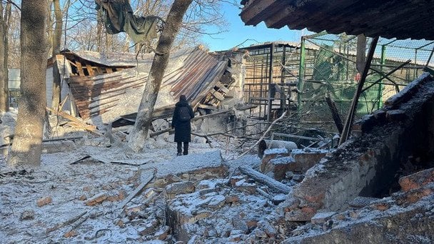 Россия снова разрушила Фельдман Экопарк: волонтеры разбирают завалы и спасают животных