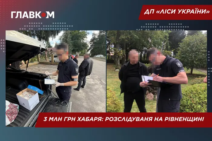 На Рівненщині керівника лісництва викрили на хабарі у 3 мільйони гривень