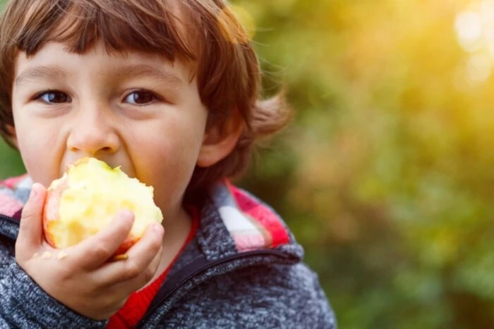 Wissenschaftler haben einen Weg gefunden, um die Lungen vor verschmutzter Luft zu schützen: Was man essen sollte
