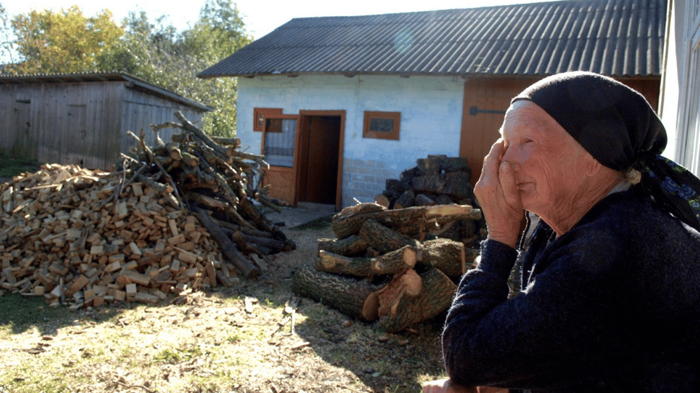Купівля дров, загроза штрафів