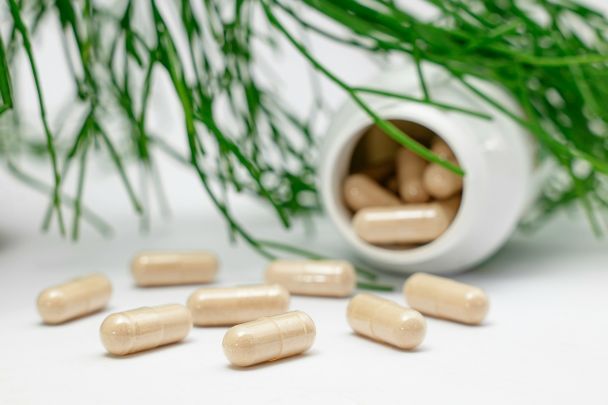 Niedobór witaminy B12: objawy i najlepsze źródła w diecie