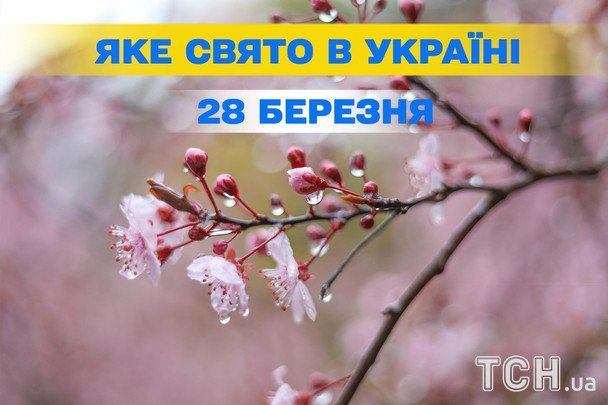 1493-й день війни в Україні