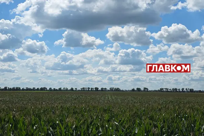 Погода на следующую неделю: в Украину приходит бабье лето с температурой до +30