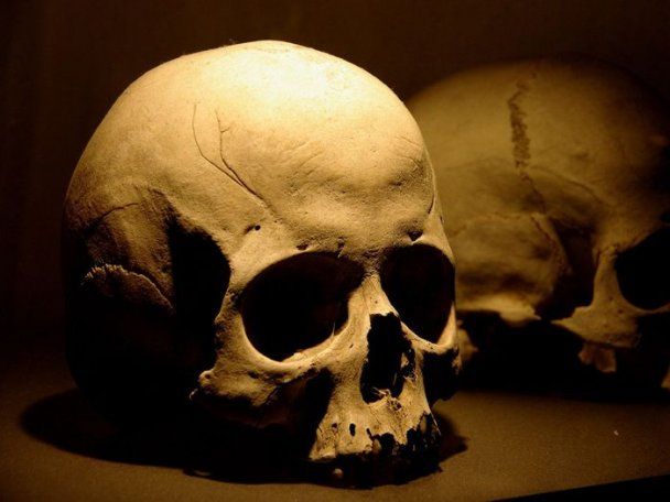 В Африці знайшли найдавнішу кремацію: ритуал 9500-річної давнини розкриває таємницю