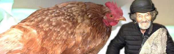 89-річний шахтар врятувався з війни разом з куркою: історія незламності та вірності