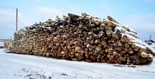 «ДроваЄ»: как получить топливо через государственный онлайн-сервис