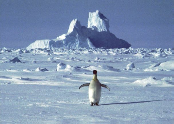 A Massive Channel Discovered Beneath Antarctic Ice: Implications for Global Sea Levels