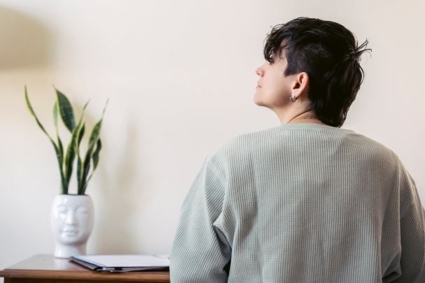 5 roślin przeciw pleśni: jak pozbyć się wilgoci zimą