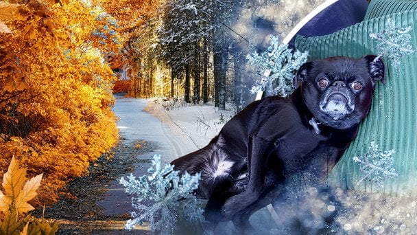 Zima nie nadchodzi: w Ukrainie zarejestrowano nowe rekordy temperatury