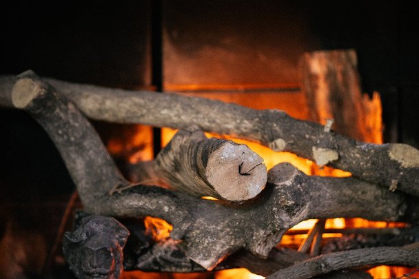 Sztuka palenia w piecu: gatunki drewna i sposób układania polan