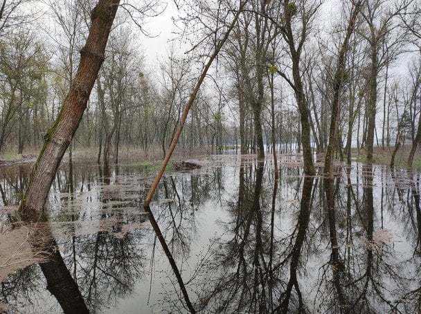 26 февраля: морозы, осадки и угроза подтоплений в Украине