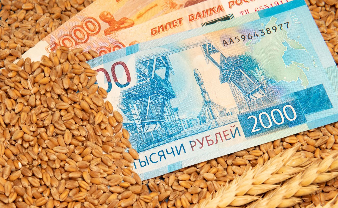 Куда Россия отправляет зерно, вывезенное с оккупированных украинских земель