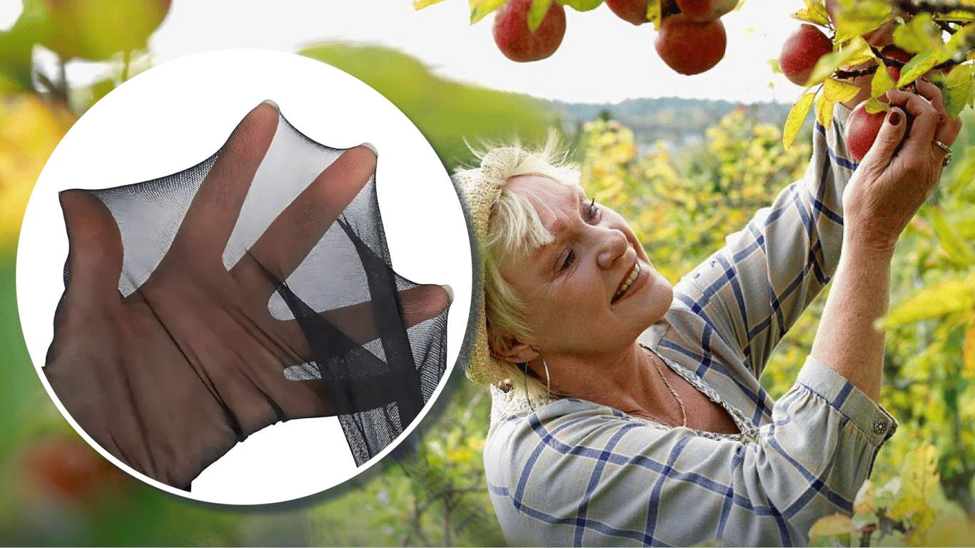 Nie wyrzucaj starych rajstop! Oto jak pomogą Ci w ogrodzie