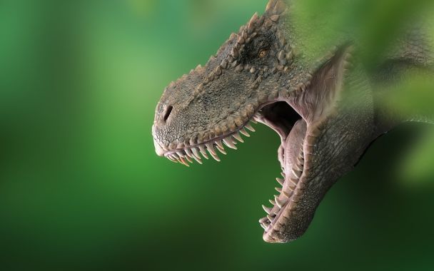 Tyranozaur miał 60 zębów-bananów: jak drapieżnik łamał kości