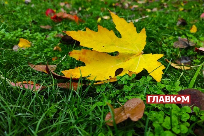 Wetter am 3. Oktober: In der Ukraine wird Nebel und ein starker Temperaturabfall in der Nacht erwartet